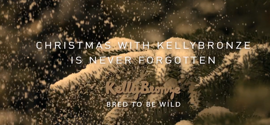 Christmas with KellyBronze is never forgotten